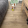 dog, puppy, tennis_ball, wooden_floor, couch, table, dog_bed, blanket, indoor, pet, playing, brown_and_white, small_dog, flooring, furniture, cozy, domestic, young_dog, toy, home