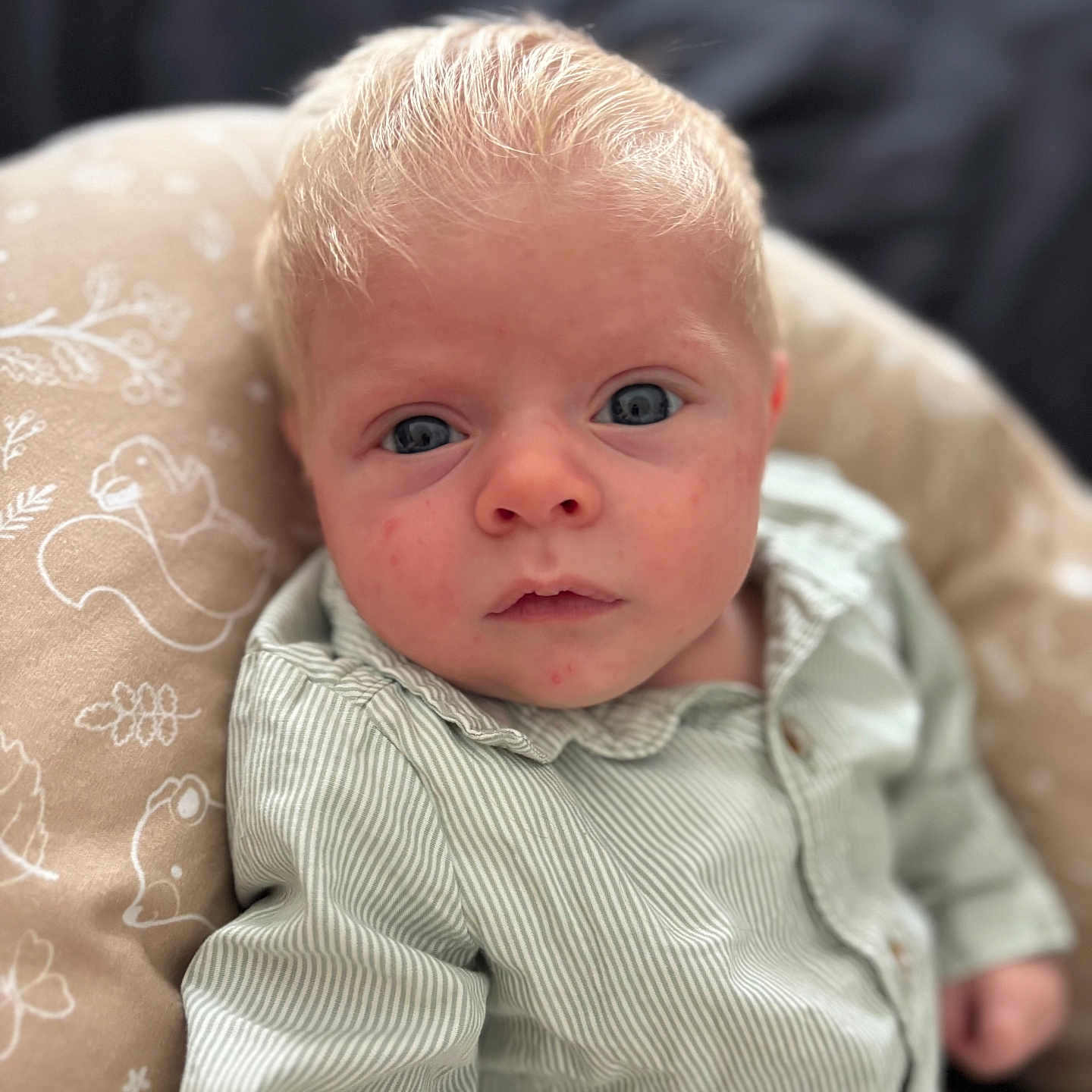 Jacob participe au concours pour gagner de l'argent avec cette photo : animal_print, baby, blonde_hair, blue_eyes, child, close_up, curious, cushion, expression, face, indoor, infant, pattern, person, portrait, seated, skin, soft_light, striped_shirt, young