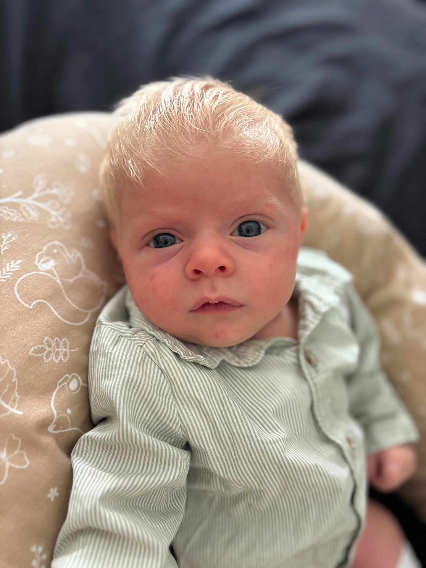 Jacob participe au concours pour gagner de l'argent avec cette photo : baby, infant, face, blue_eyes, blonde_hair, striped_shirt, cushion, pattern, animal_print, close_up, portrait, child, soft_light, indoor, curious, young, person, skin, expression, seated