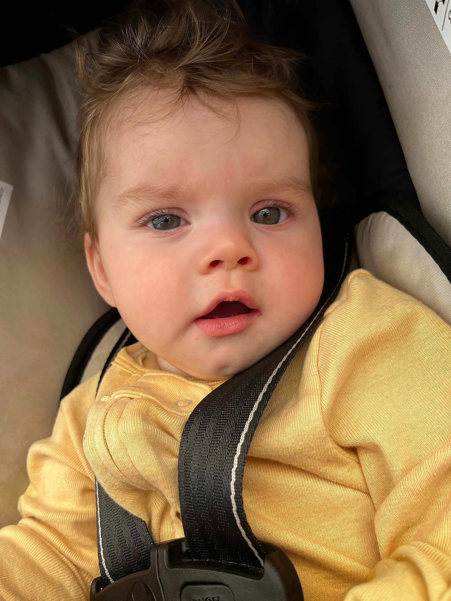Alaina
