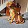 Charlie