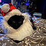 Sloan is registered to the contest to win money with this photo: animal, bedspread, black_cat, cat, christmas, close_up, cozy, cute, domestic_animal, festive, fur, holiday, indoor, lying_down, pattern, pet, relaxing, santa_hat, soft_texture, whiskers