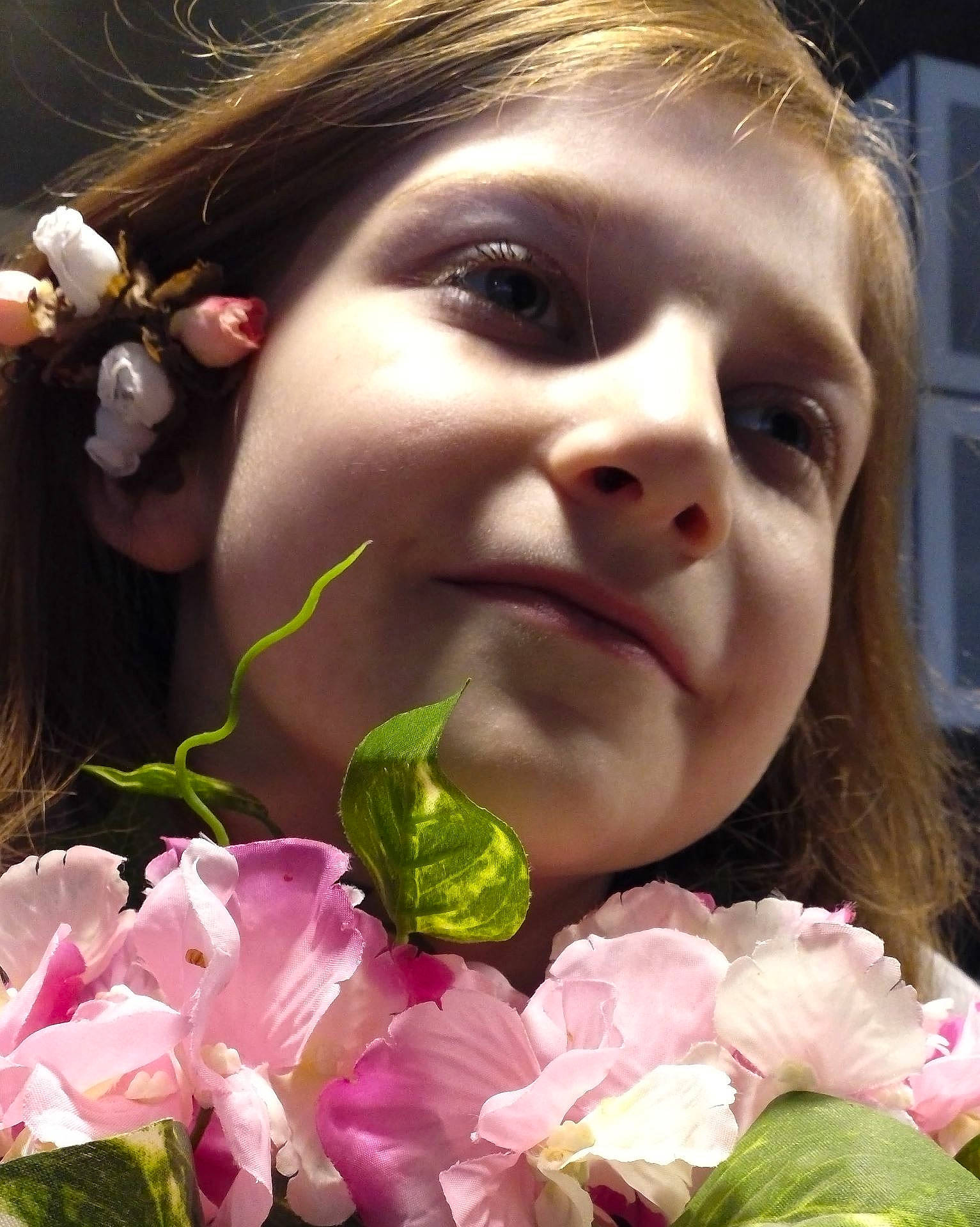 Celena participe au concours pour gagner de l'argent avec cette photo : brown_hair, cheek, face, flower, flower_arranging, girl, head, lip, nose, person, petal, pink, plant, rose, rose_family, smile, spring
