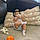Yessica B. I.