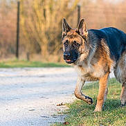 D'jacks a rejoint le concours — aidez-le/la à gagner de superbes lots !