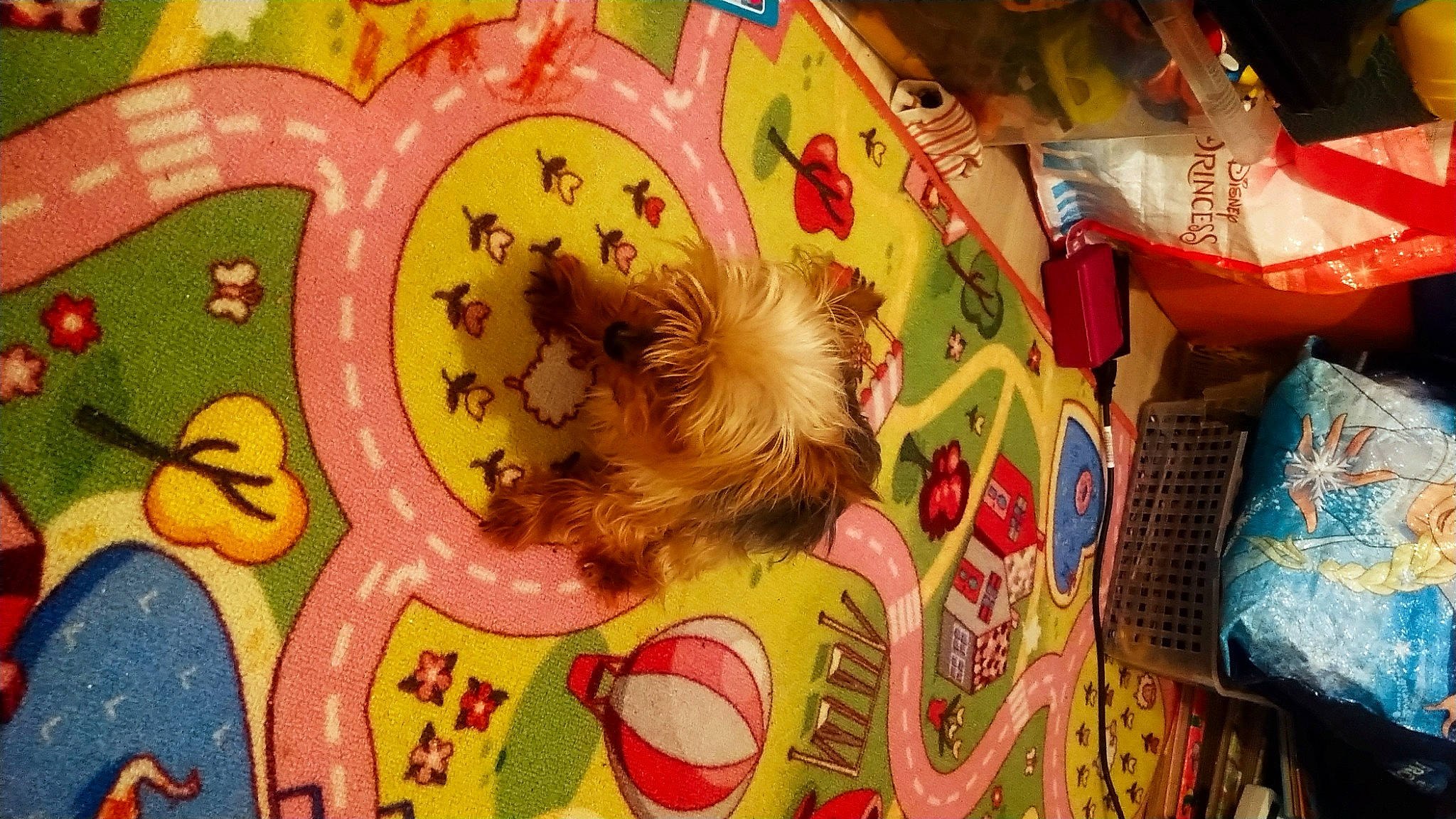 Jixie a rejoint le concours — aidez-le/la à gagner de superbes lots ! art, carnivore, circle, companion_dog, drawing, fiction, font, fun, games, graphics, illustration, painting, pattern, publication, recreation, toy_dog, visual_arts