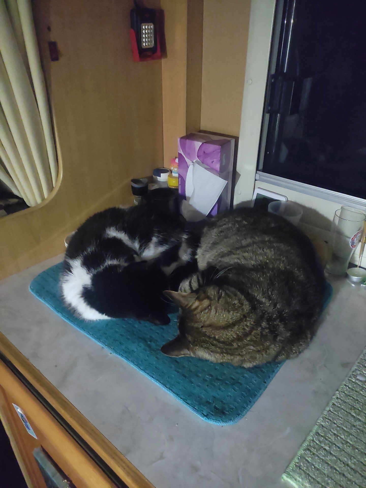 Myrtille Et Loulou