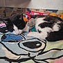 cat, sleeping, black_and_white, stuffed_toy, blanket, cartoon, indoor, cozy, resting, animal, fur, pet, soft, colorful, quiet, cuddle, home, furniture, fruit, relax