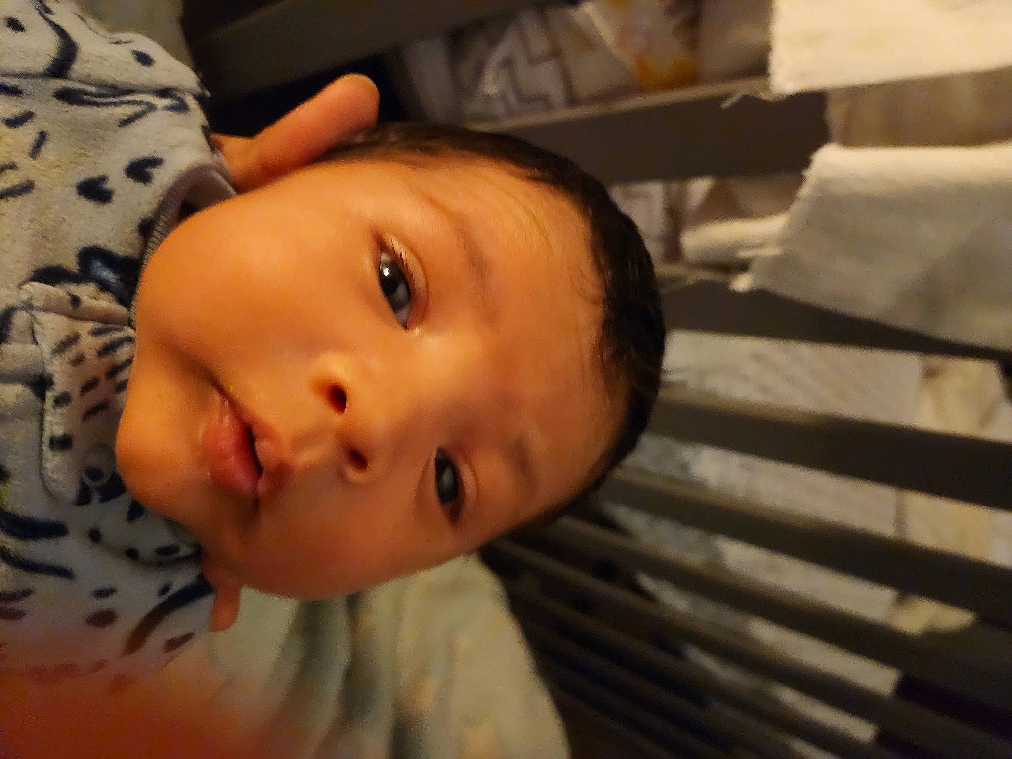 Elliot is registered to the contest to win money with this photo: baby, baby_toddler_clothing, cheek, child, chin, comfort, eye, eyebrow, eyelash, happy, iris, lip, mouth, nose, person, plant, skin, smile, toddler, tree