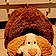 Abricot