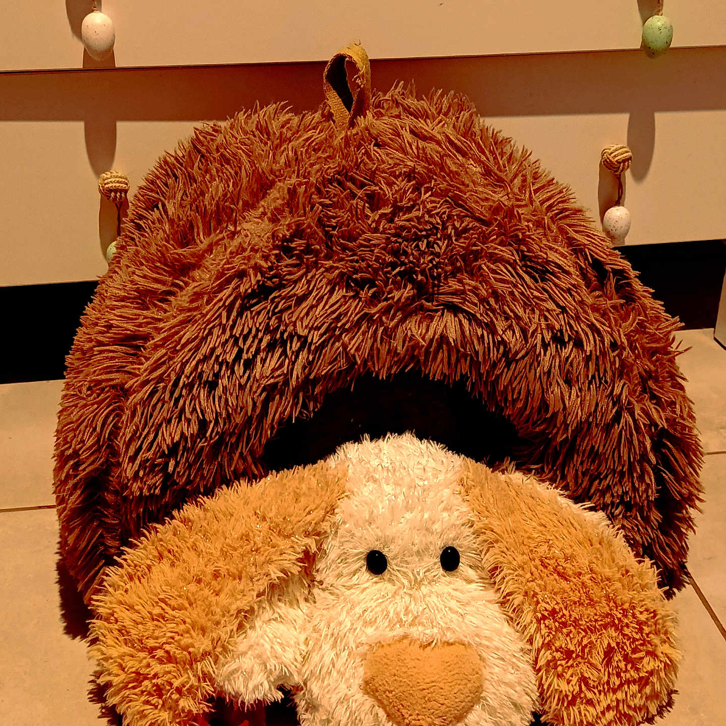 Abricot a rejoint le concours — aidez-le/la à gagner de superbes lots ! stuffed_animal, toy_dog, plush_toy, dog, furry, brown, floppy_ears, black_eyes, large_nose, indoor, floor, tile, furniture, decorations, hanging_ornaments, home_decor, cozy, closeup, portrait, pacifier