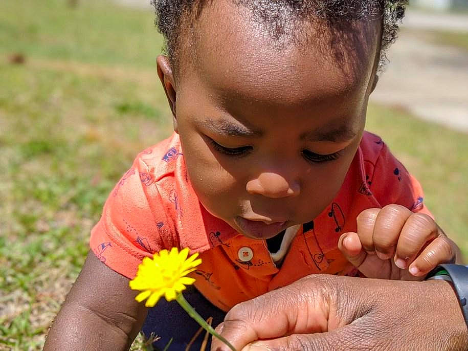 Denzel is registered to the contest to win money with this photo: adaptation, child, dandelion, finger, flower, grass, hand, happy, nose, olfaction, person, plant, play, pollen, skin, toddler, wildflower