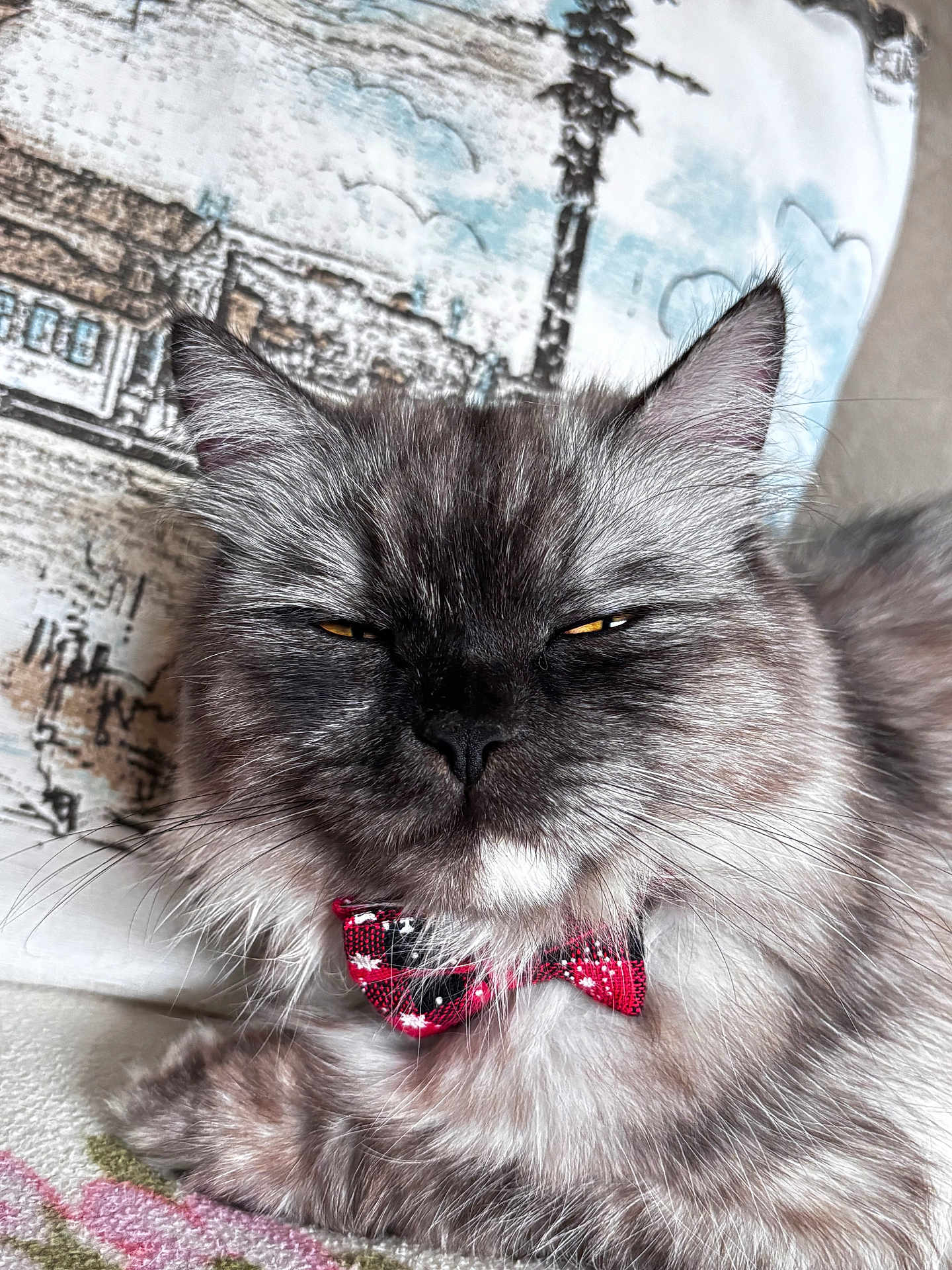 Fluffy