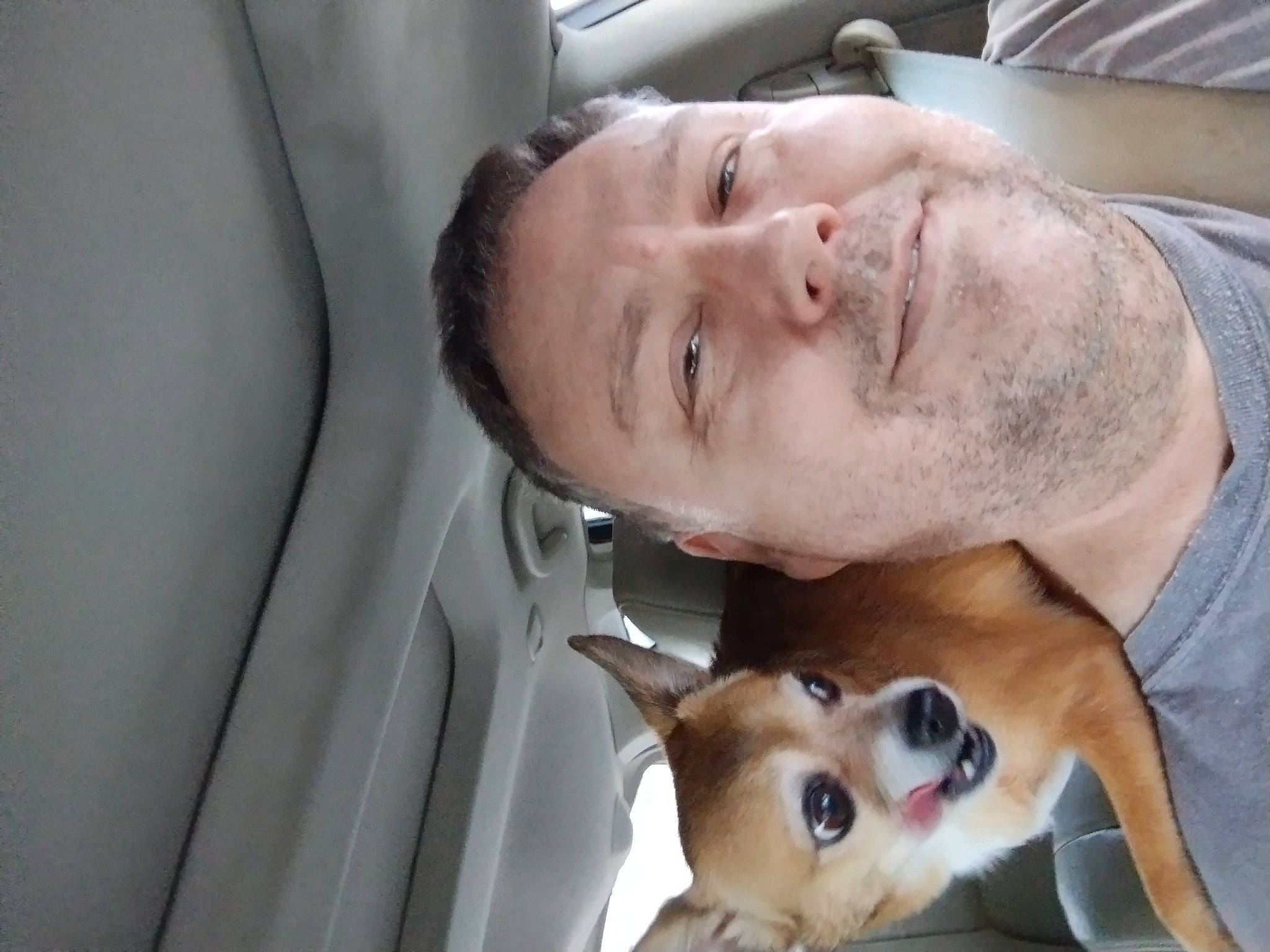 Trixie joined the competition — help win amazing prizes! beard, car_seat, carnivore, chest, comfort, companion_dog, corgi_chihuahua, dog, dog_breed, ear, eyelash, eyewear, facial_hair, fur, jaw, selfie, spitz, sporting_group, toy_dog, watch