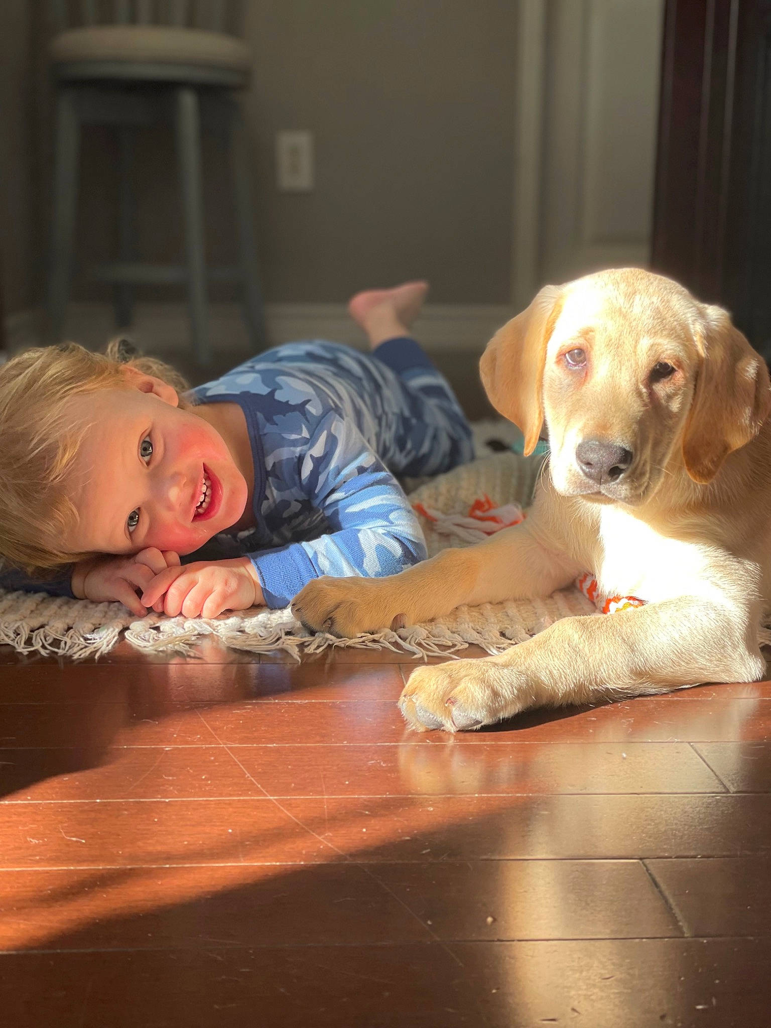 Charley is registered to the contest to win money with this photo: baby, baby_toddler_clothing, carnivore, comfort, companion_dog, couch, dog, dog_breed, dog_supply, flash_photography, floor, flooring, hardwood, mammal, sitting, smile, sporting_group, table, whiskers, wood