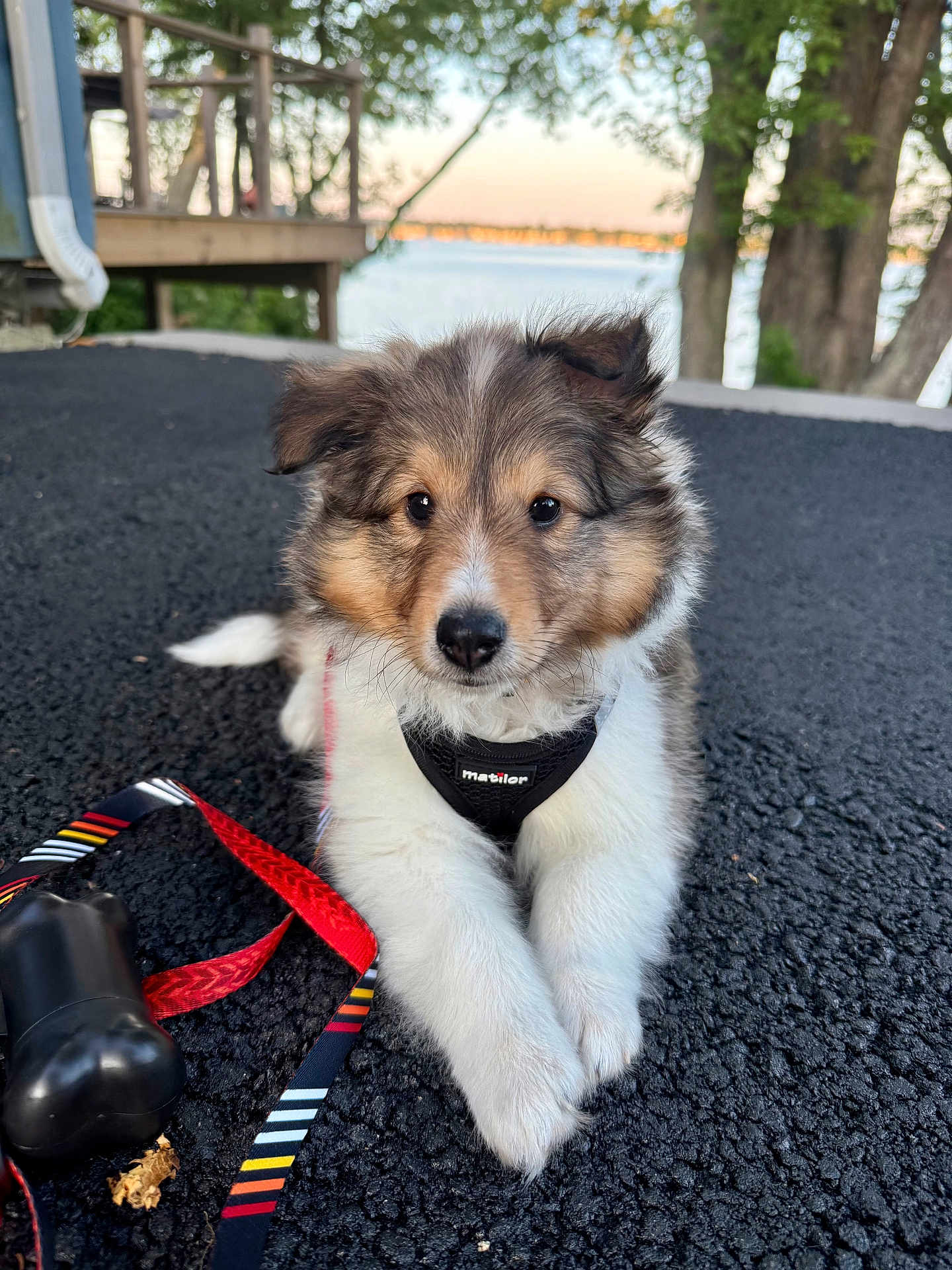 Oliver