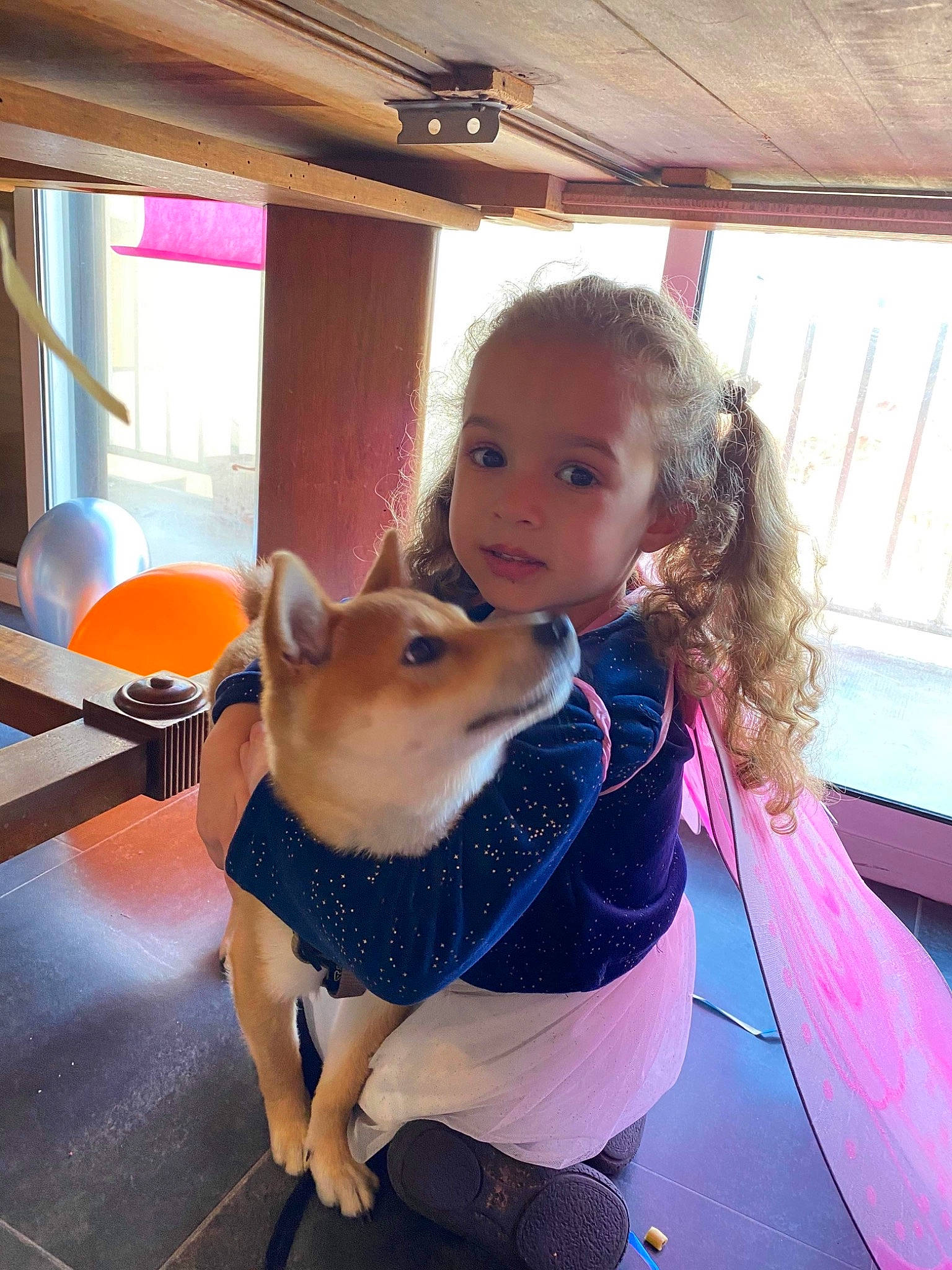 Miyah a rejoint le concours — aidez-le/la à gagner de superbes lots ! balloon, chair, child, companion_dog, dog, dog_breed, dog_clothes, fawn, flooring, fun, happy, leisure, person, play, recreation, sitting, stuffed_toy, toddler, toy, toy_dog