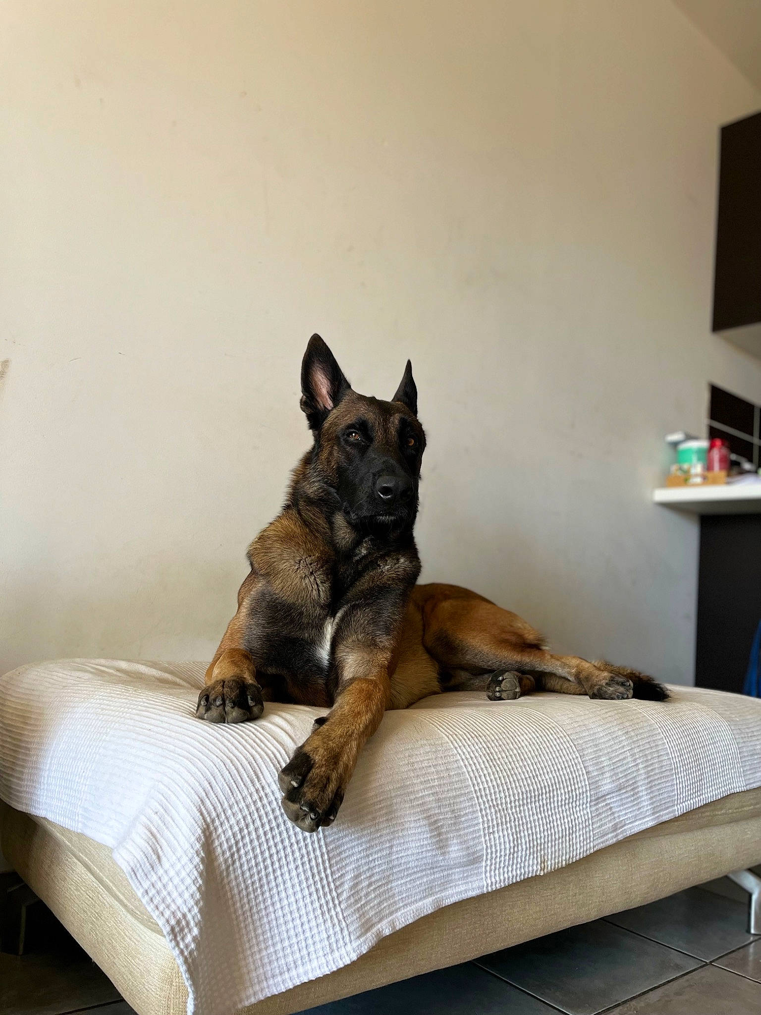 Rio