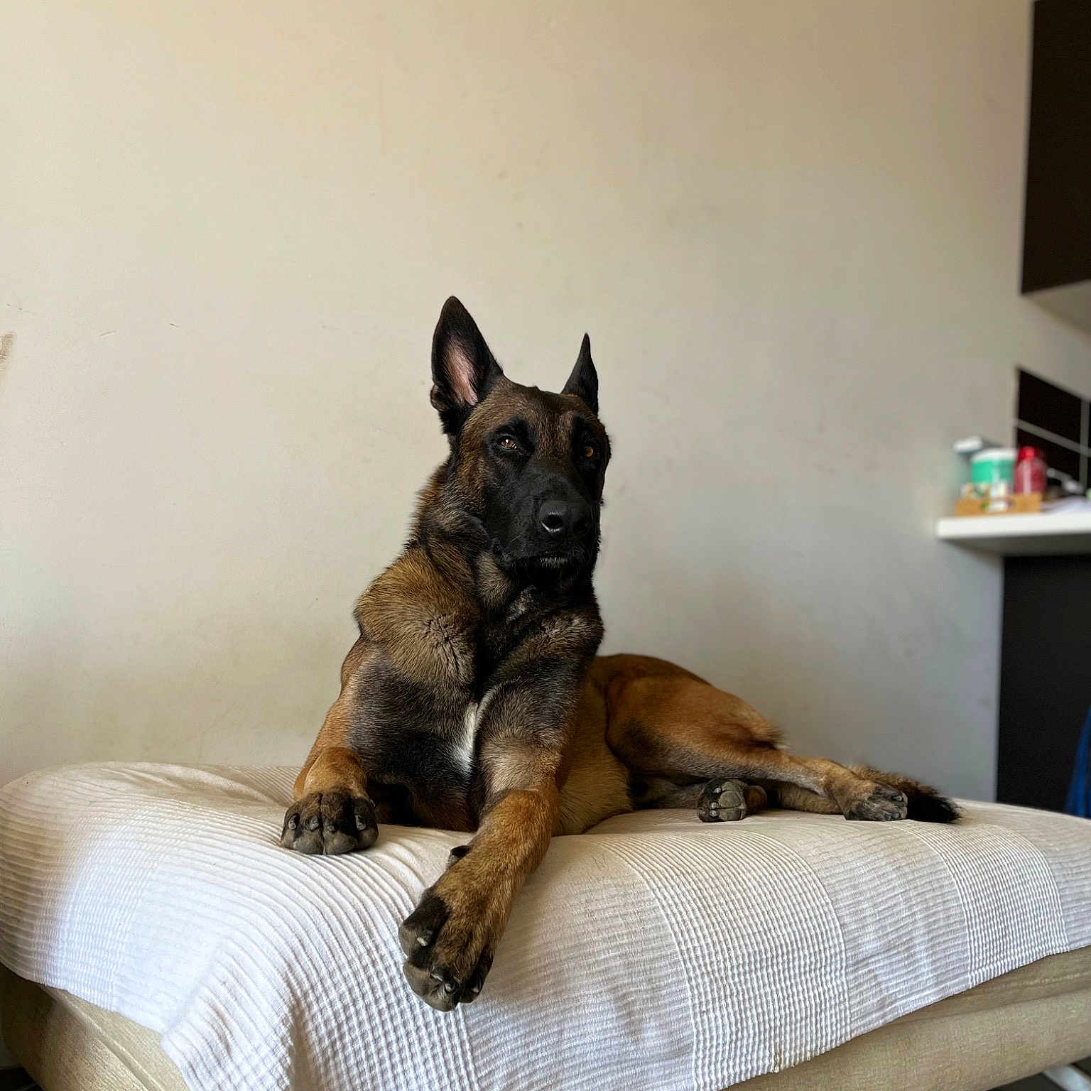 Rio