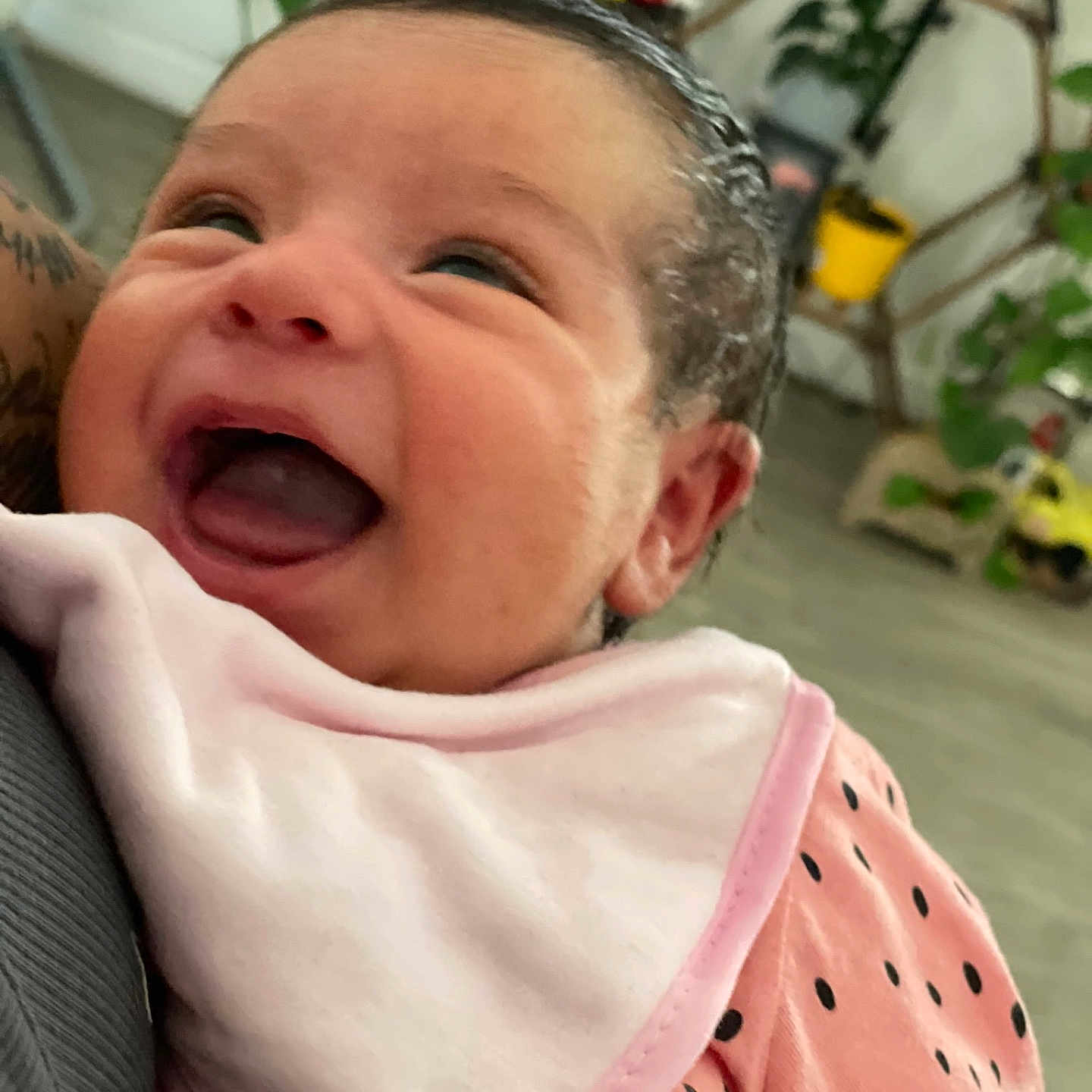 Elianna Rose joined the competition — help win amazing prizes! baby, smiling, infant, pink_clothing, bib, face, happy, person, indoor, plants, home_decor, closeup, joyful, cute, child, portrait, human, expression, holding, toddler