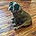 Dozer