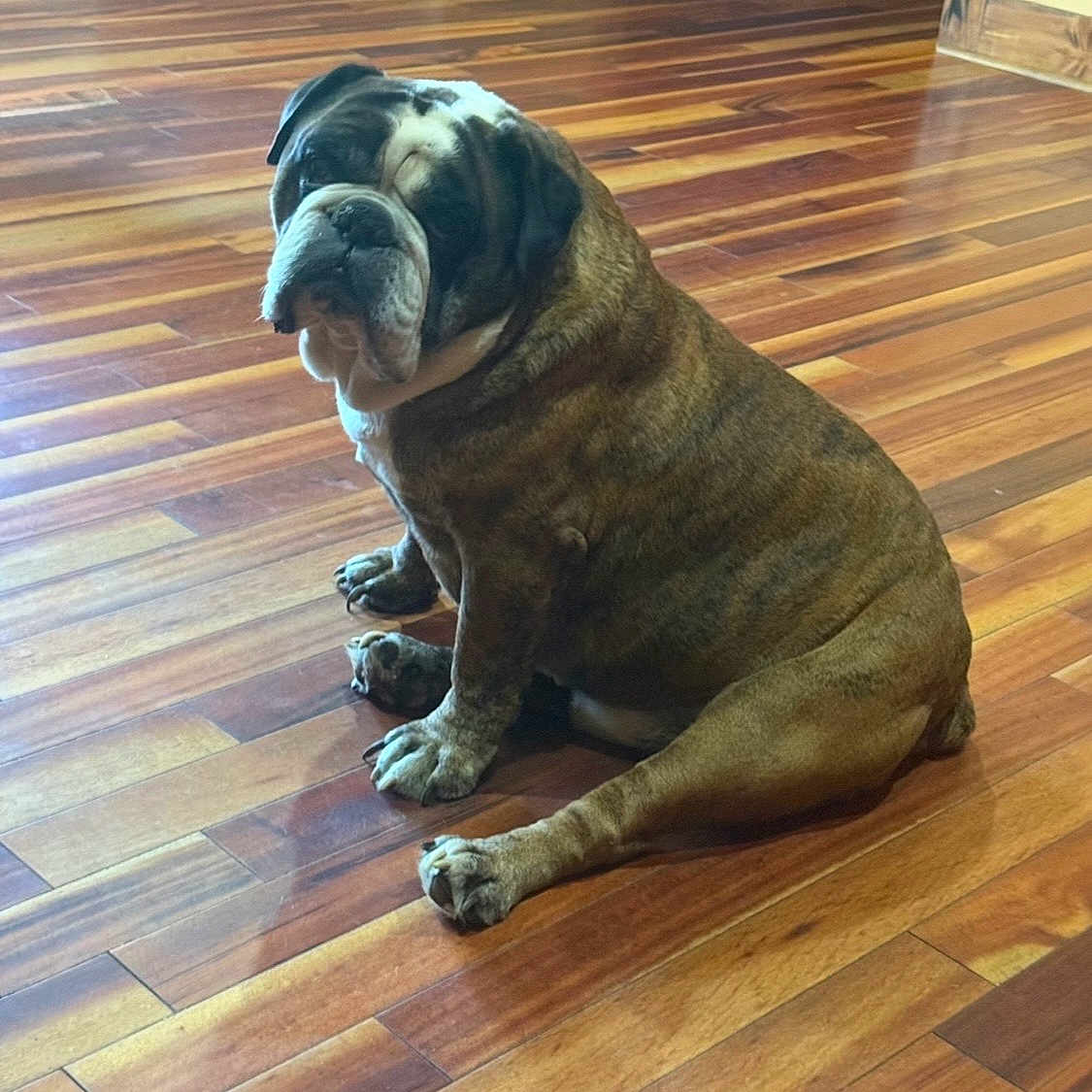 Dozer