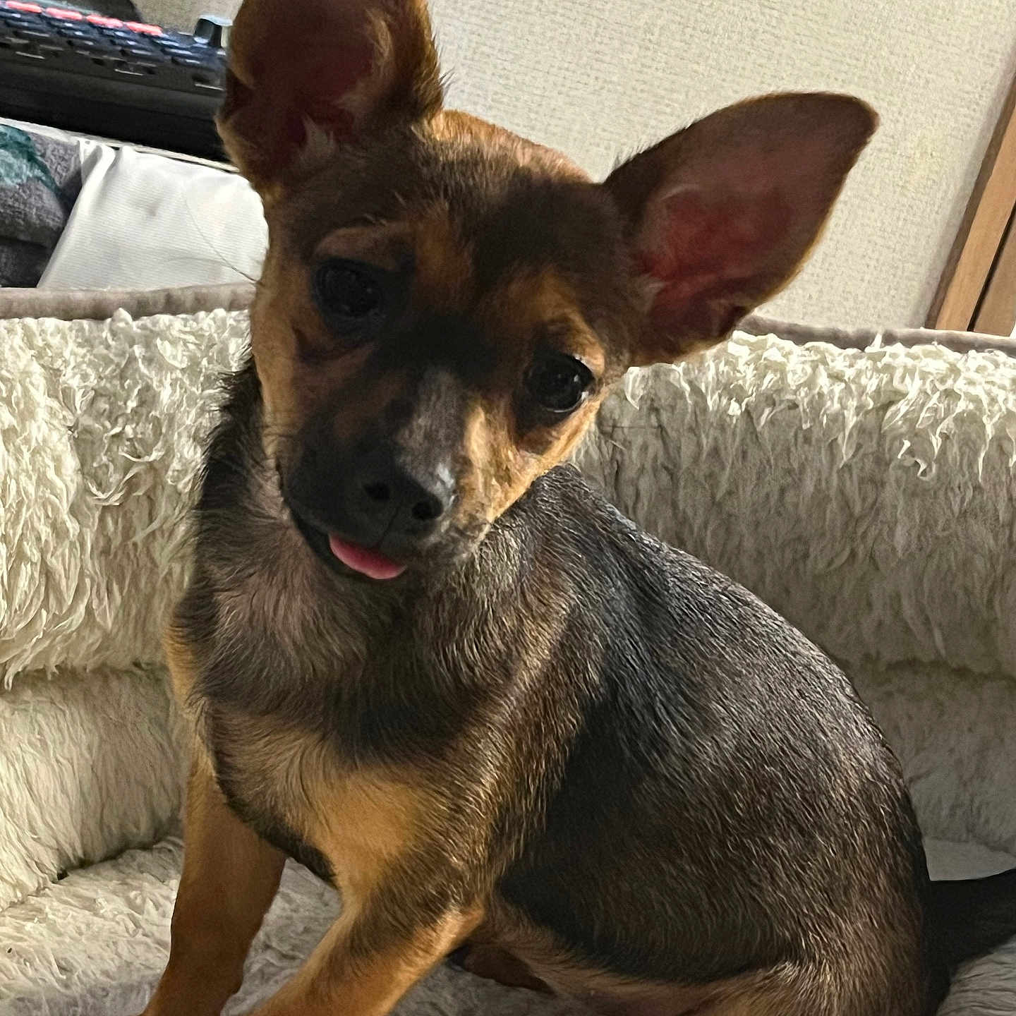 Amy