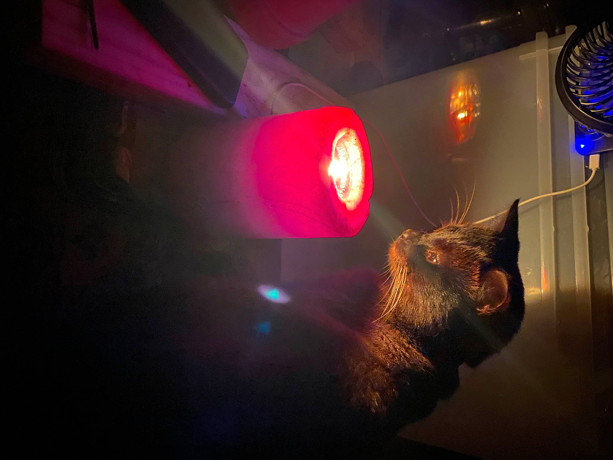 Frankenstein joined the competition — help win amazing prizes! art, automotive_design, automotive_lighting, beard, curtain, darkness, entertainment, event, fun, headlamp, lens_flare, luxury_vehicle, magenta, music_venue, night, room, sky, space, vehicle_door, visual_effect_lighting