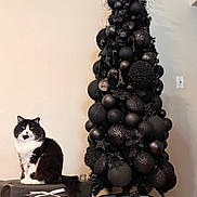 Jack is registered to the contest to win money with this photo: cat, black_and_white_cat, christmas_tree, black_christmas_tree, ornaments, presents, gift_wrapping, indoor, holiday, decorations, stacked_gifts, feline, pet, floor, wall, modern, festive, celebration, home, living_room