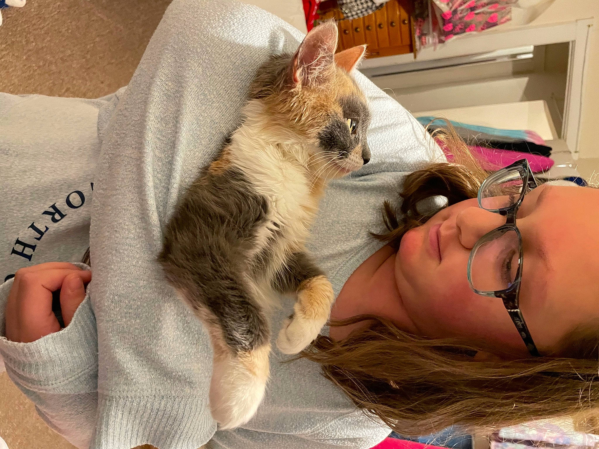 Dumpling joined the competition — help win amazing prizes! arm, carnivore, cat, comfort, companion_dog, domestic_short_haired_cat, ear, eyelash, eyewear, fawn, felidae, fur, gesture, glasses, lap, nail, small_to_medium_sized_cats, sunglasses, vision_care, whiskers