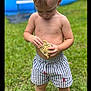 child, toddler, barefoot, grass, turtle, summer, outdoor, pool, blue, shorts, striped, curious, boy, nature, play, daylight, lawn, skin, person, backyard