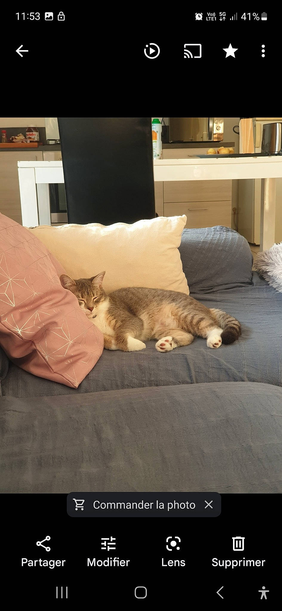 Plume participe au concours pour gagner de l'argent avec cette photo : bedding, carnivore, cat, comfort, couch, domestic_short_haired_cat, felidae, flooring, fur, furniture, grey, hardwood, linens, room, small_to_medium_sized_cats, table, tail, textile, whiskers, wood