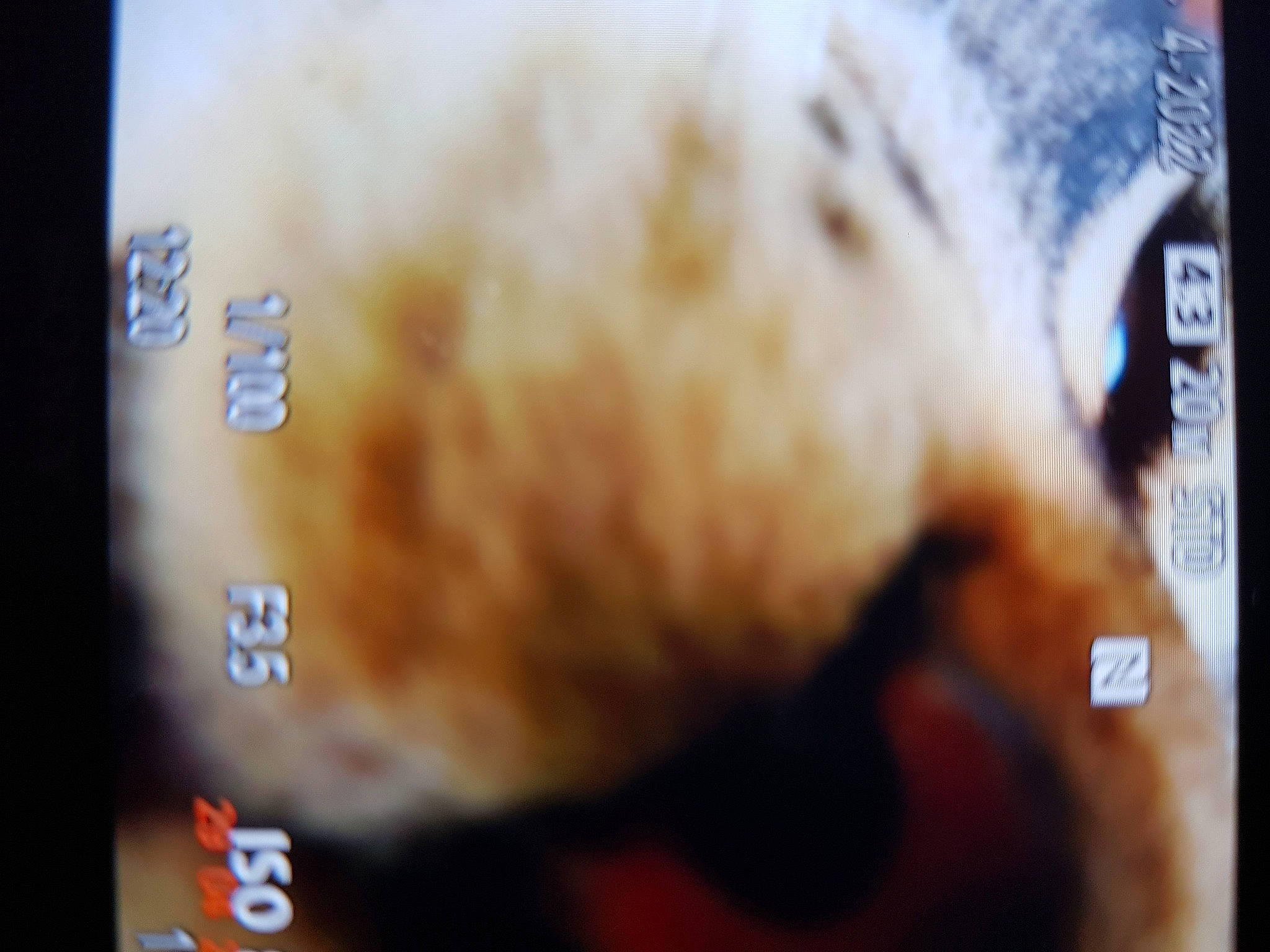 Sacha a rejoint le concours — aidez-le/la à gagner de superbes lots ! auto_part, cameras_optics, display_device, electronic_device, eyewear, felidae, font, fur, gadget, gesture, multimedia, paw, photo_caption, plush, room, screenshot, small_to_medium_sized_cats, snout, stuffed_toy, whiskers