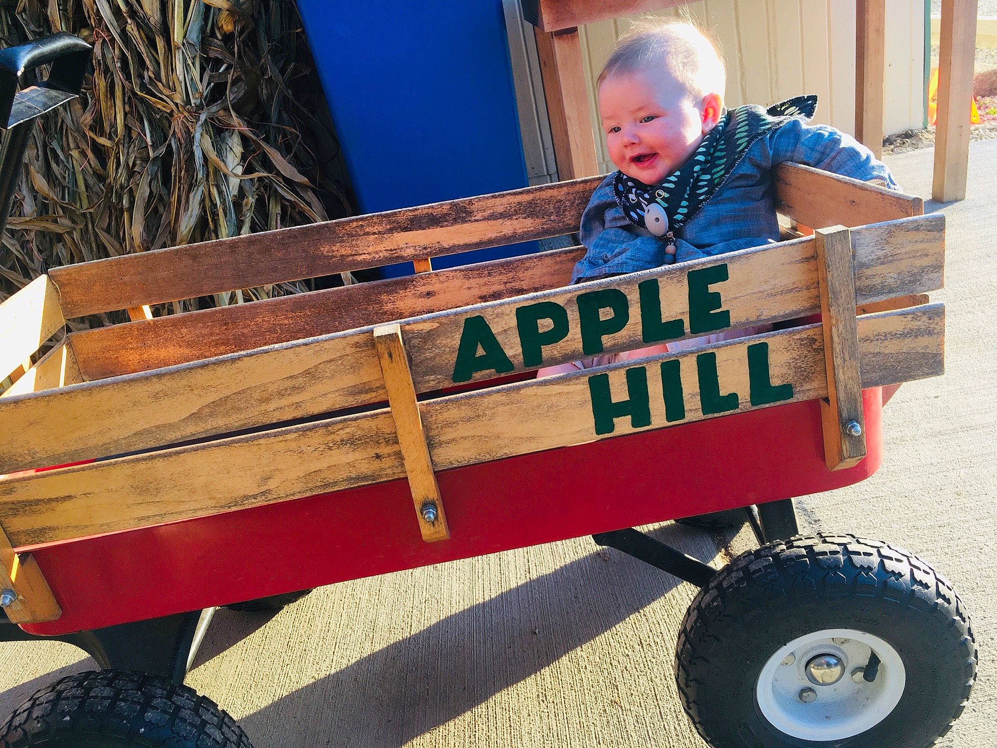 Pierce joined the competition — help win amazing prizes! cart, mode_of_transport, person, vehicle, wagon, wheel