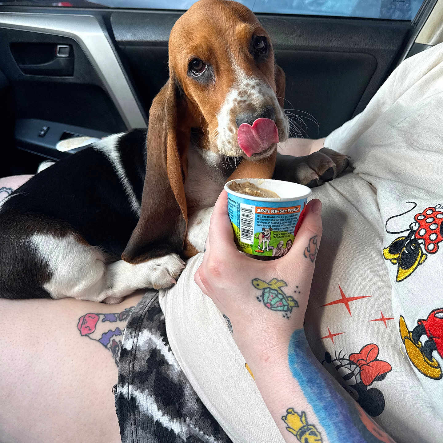 Winnie joined the competition — help win amazing prizes! animal, basset_hound, car_interior, cup, cute, dog, hand, indoor, licking, mickey_mouse, person, pet, petco_sign, puppy, seat, shirt, shorts, stop_sign, tattoo, window