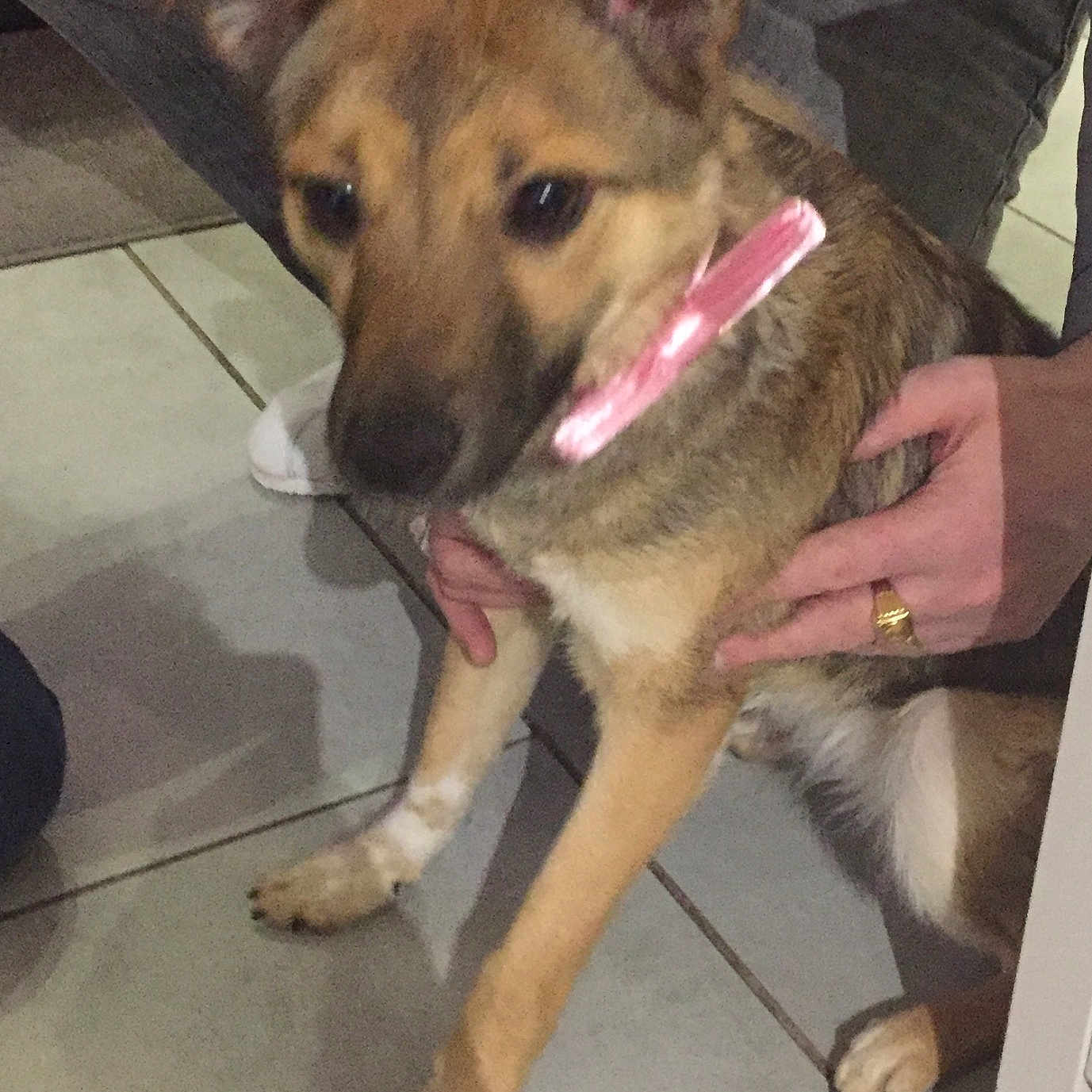 Orla
