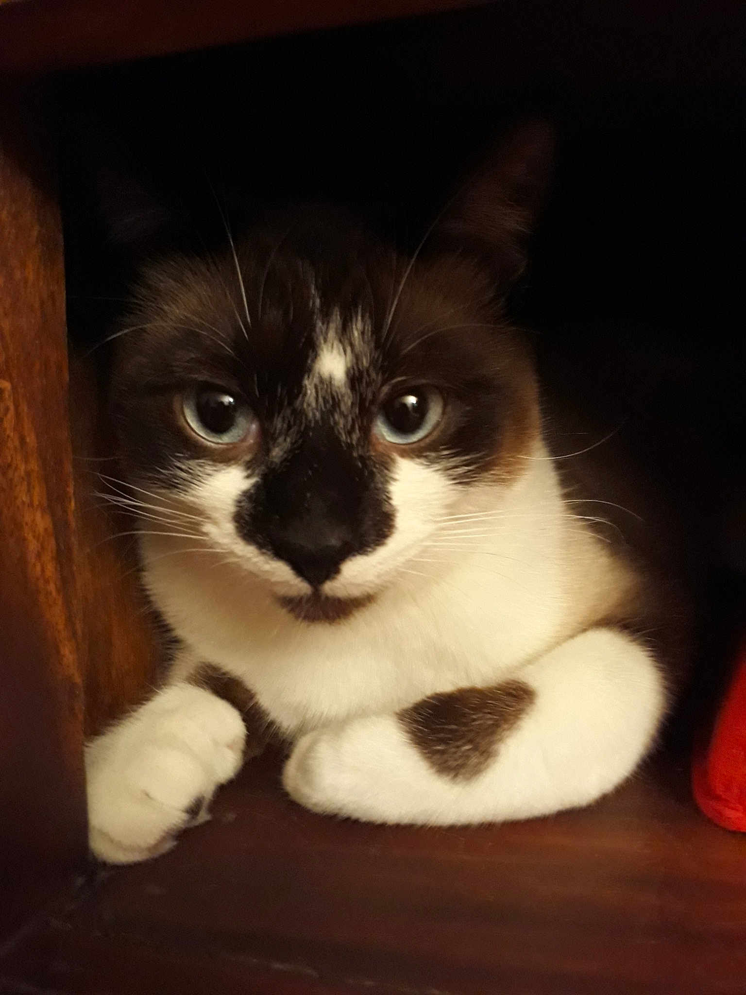 Olympe