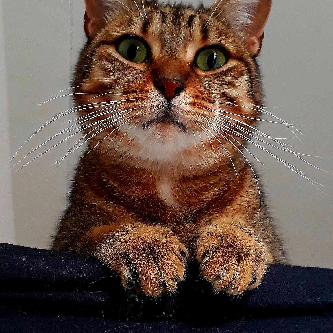 Reiki