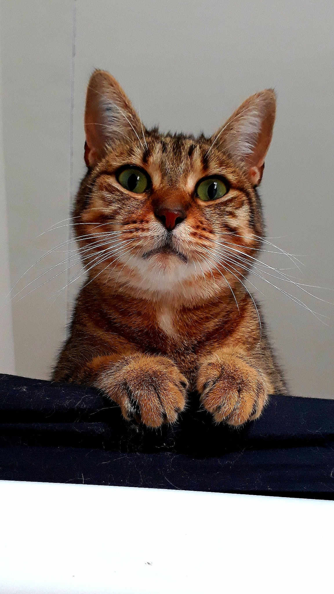 Reiki