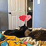 cat, cats, blanket, bed, door, interior, room, wall, ceiling_fan, furniture, snuggling, resting, cute, pet, animal, cozy, love, heart_emoji, indoor, comfort