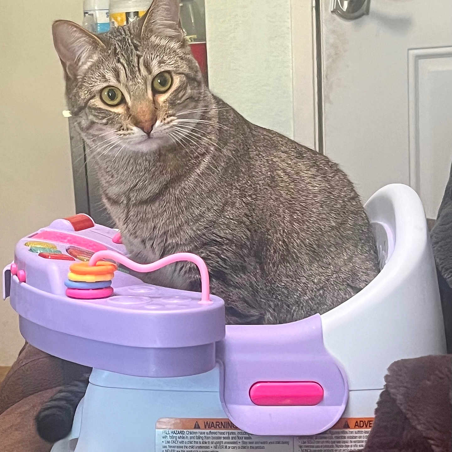 Simon