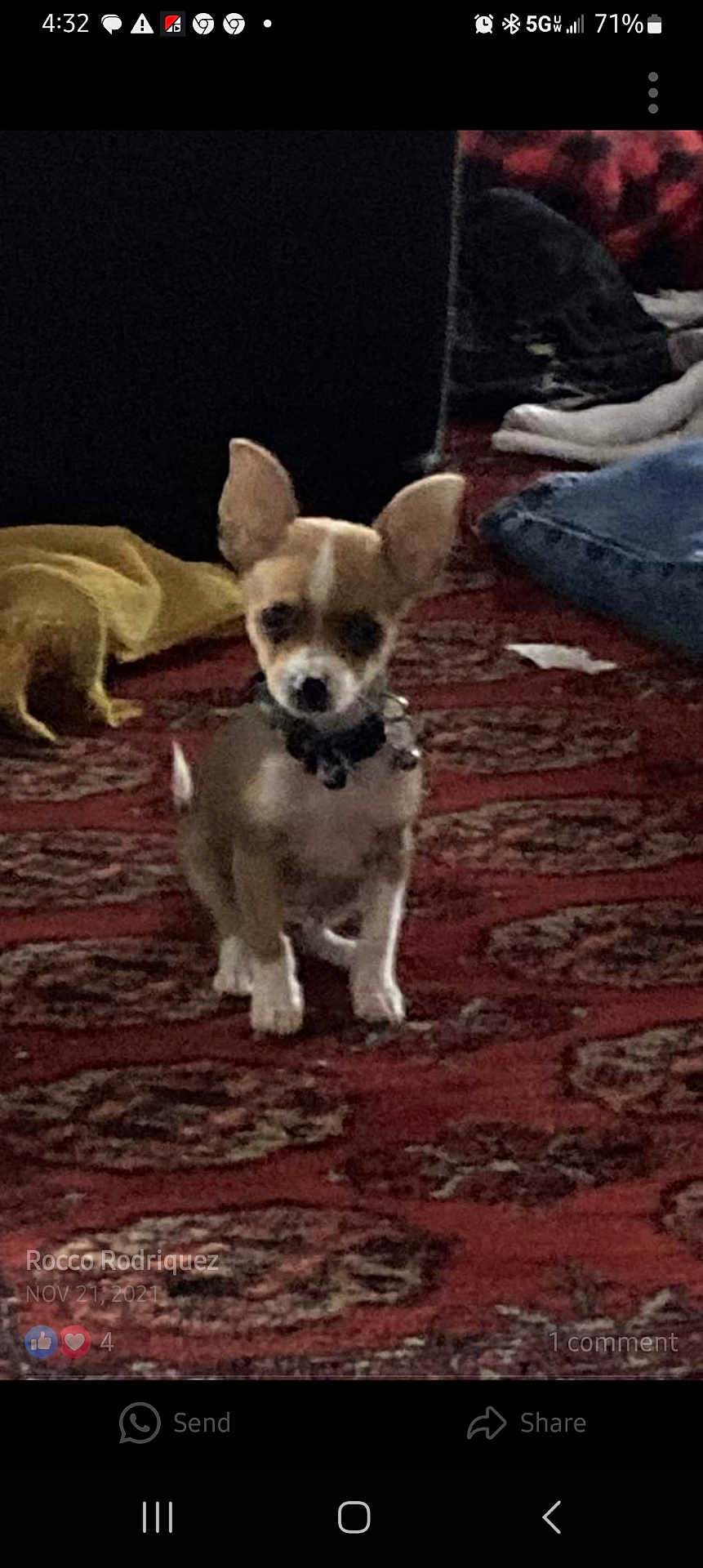 Rocko