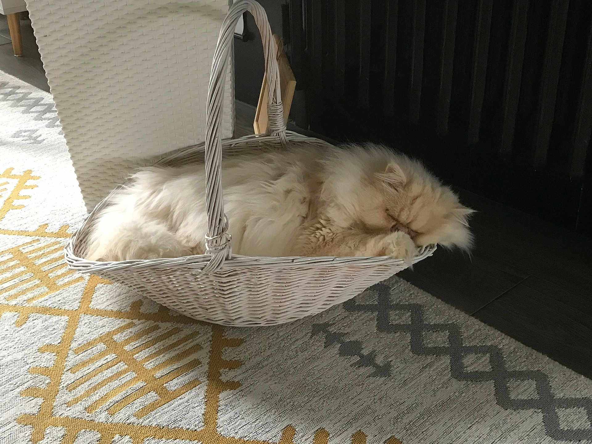 Totoche participe au concours pour gagner de l'argent avec cette photo : cat, fluffy, basket, sleeping, indoor, rug, patterned_rug, wicker, cozy, pet, animal, resting, feline, home, floor, decor, quiet, cute, soft, nap