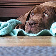 Hélios a rejoint le concours — aidez-le/la à gagner de superbes lots !