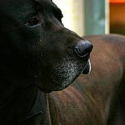 Drago participe au concours pour gagner de l'argent avec cette photo :