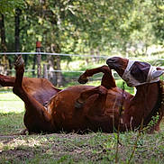 Utez a rejoint le concours — aidez-le/la à gagner de superbes lots !