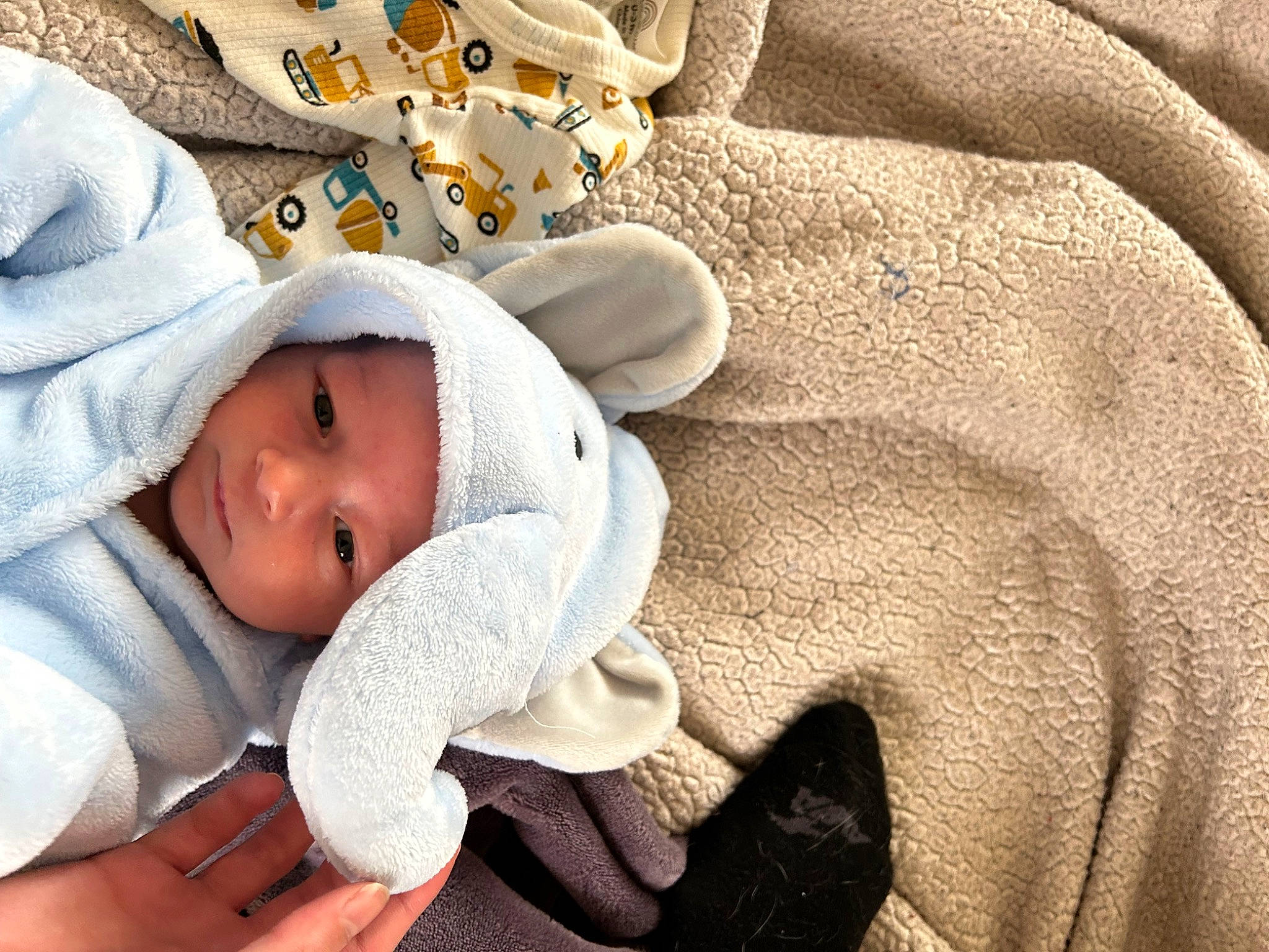 Kyngston is registered to the contest to win money with this photo: baby, baby_products, baby_safety, baby_sleeping, baby_toddler_clothing, bedtime, child, comfort, finger, headwear, human_body, knit_cap, linens, nap, person, sleep, thumb, toddler, wool