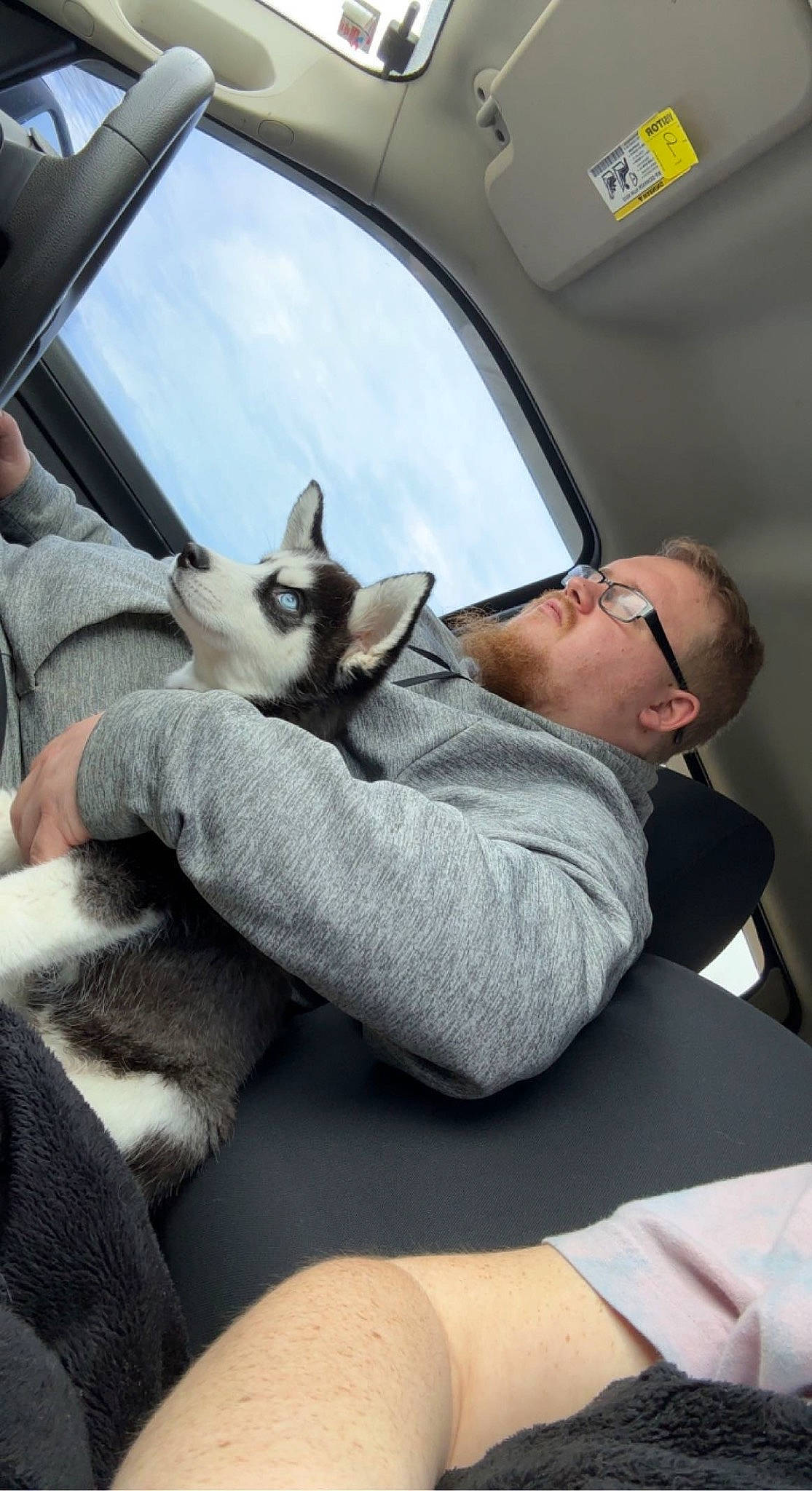 Zeus joined the competition — help win amazing prizes! auto_part, automotive_design, car_seat, carnivore, cat, comfort, companion_dog, dog_breed, eyewear, fawn, felidae, glasses, human_leg, leg, mammal, personal_luxury_car, small_to_medium_sized_cats, snout, vehicle_door, whiskers