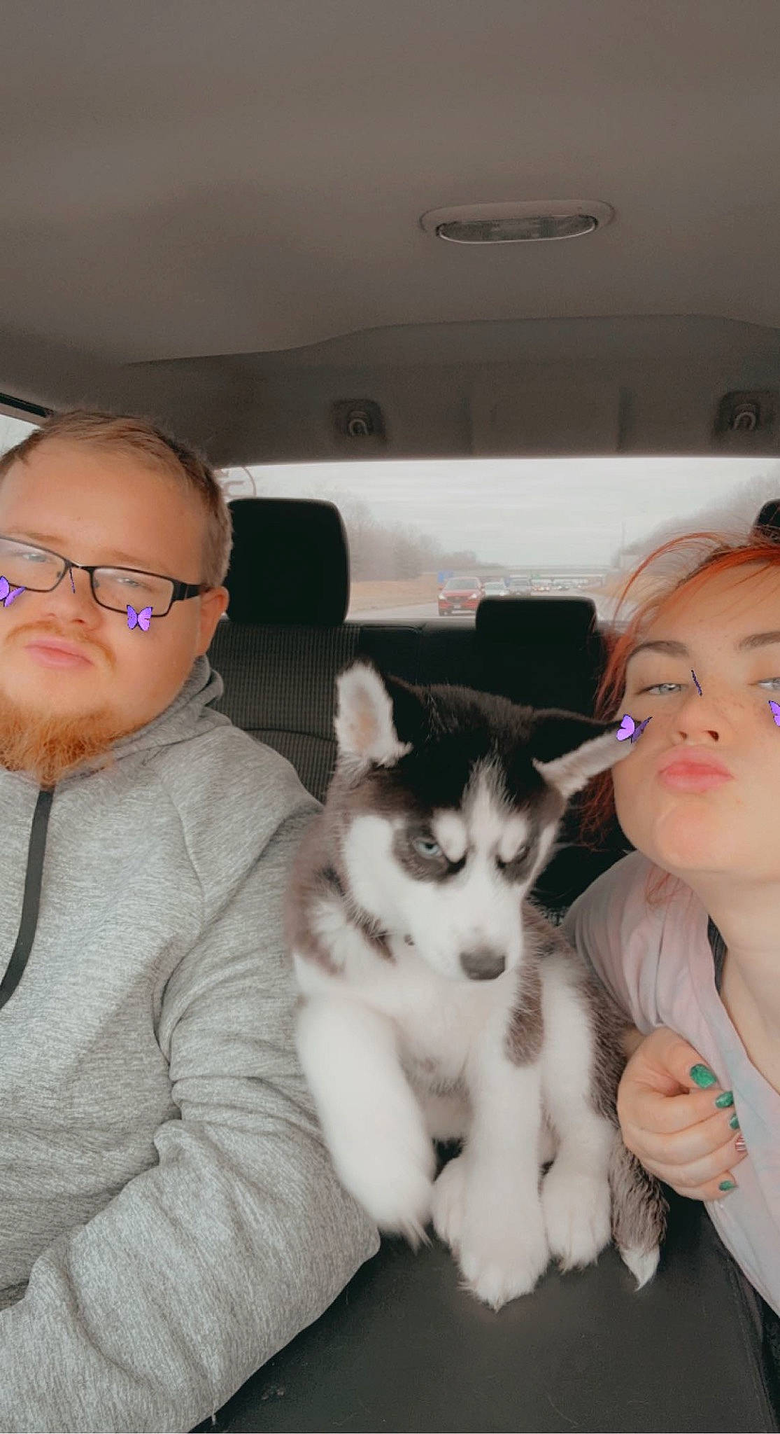 Zeus is registered to the contest to win money with this photo: car, car_seat, carnivore, cat, child, comfort, companion_dog, couch, domestic_short_haired_cat, felidae, fun, fur, gesture, happy, lap, paw, sitting, skin, small_to_medium_sized_cats, whiskers