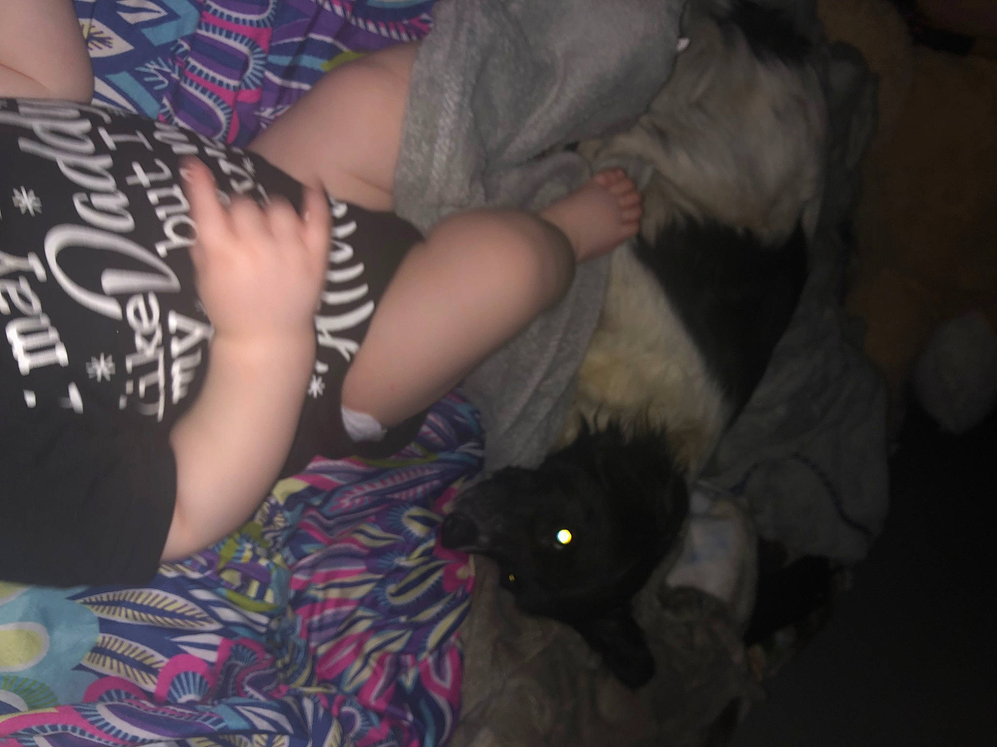 Dixie Ann joined the competition — help win amazing prizes! black_hair, comfort, companion_dog, darkness, elbow, felidae, finger, foot, fun, gesture, human_body, human_leg, knee, lap, long_hair, nail, sitting, thigh, trunk, wrist